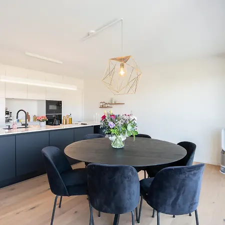 Brand New 3br House With Garden In Mariakerke Οστένδη