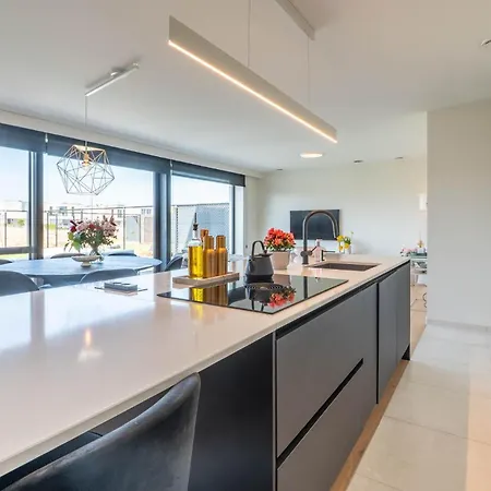 Brand New 3br House With Garden In Mariakerke Σπίτι διακοπών *